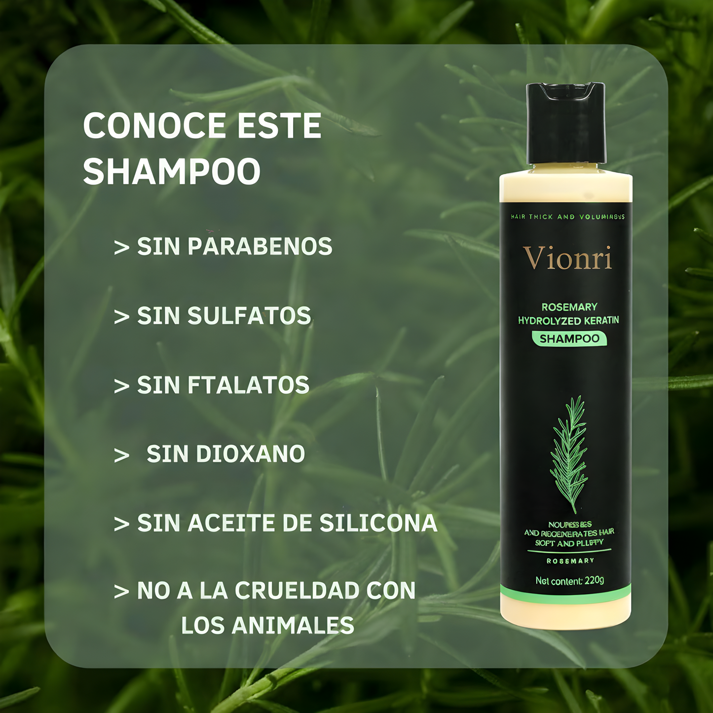 Champú de Romero 100% Orgánico – Estimula el Crecimiento del Cabello